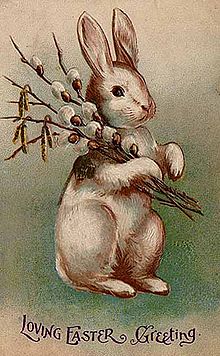 Bunny Postcard 1907