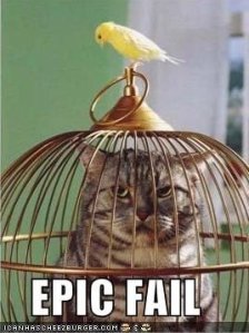 Funny-pictures-bird-cat-cage