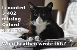 Then we have my favorite type, the pedantic shorthairs