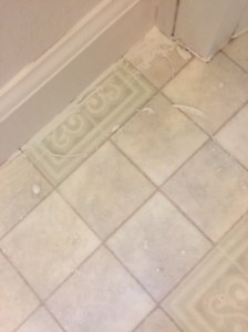 I can only image the mess I would have made without the drop cloth